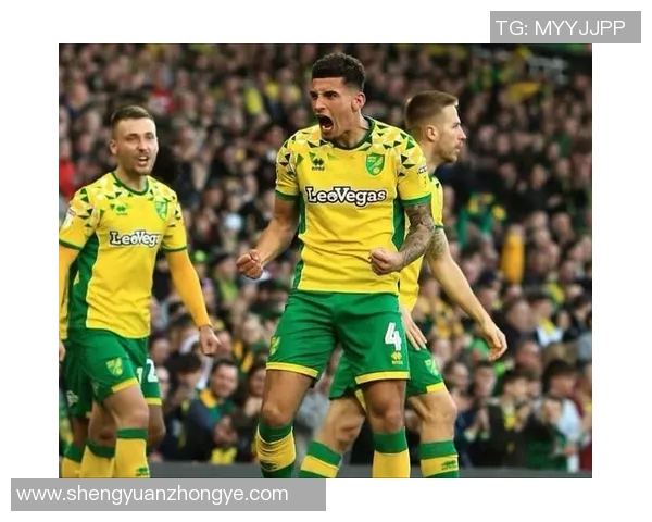 诺丁汉与维冈对决前瞻及比分预测分析,谁能笑到最后